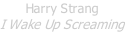 Harry Strang I Wake Up Screaming